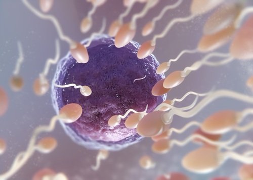 How To Treat Azoospermia With Homeopathy?
